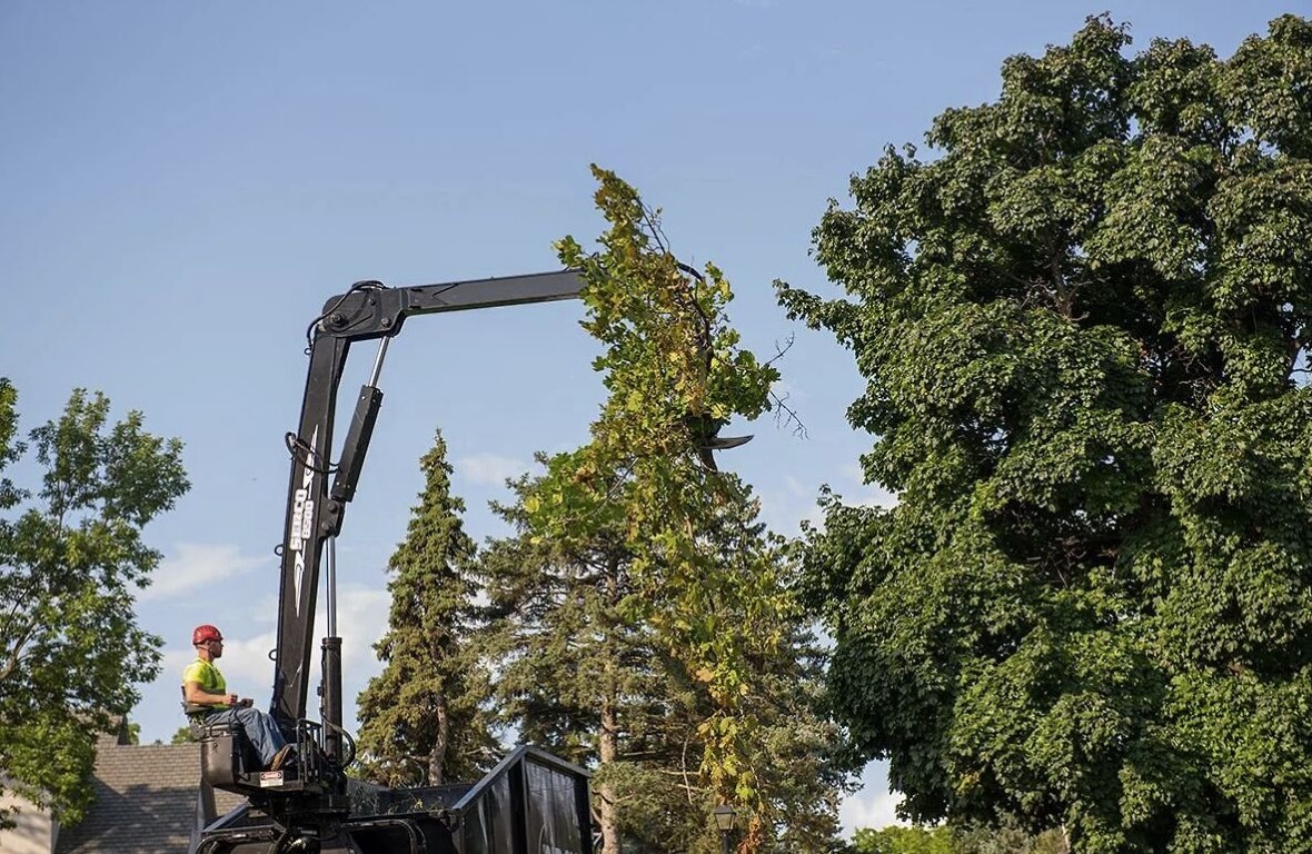 Crane-assisted large tree removal in Lake Stevens, WA